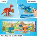 DINO QUEST (ORANGE)