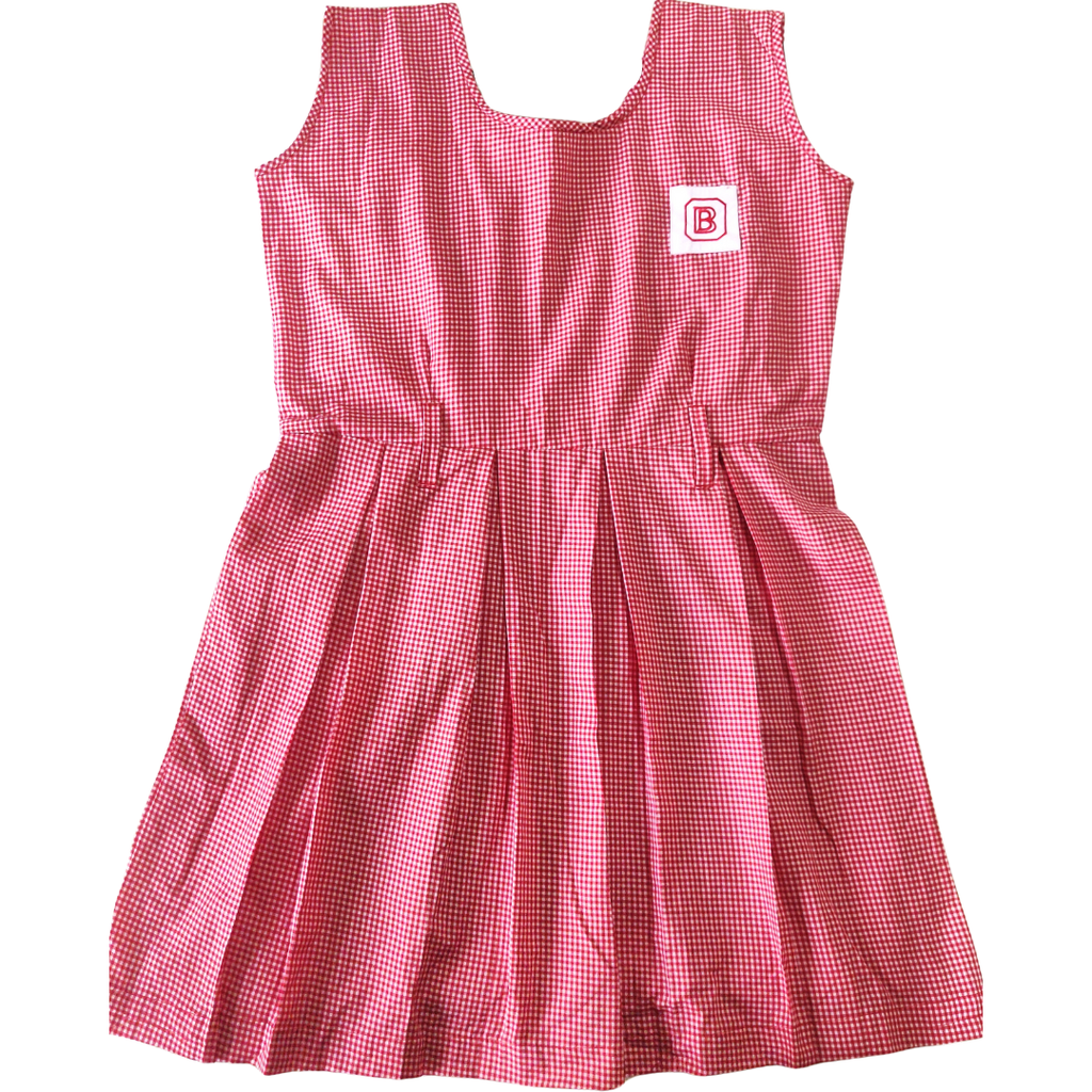 Bidya Bharati New Alipore Check Tunic