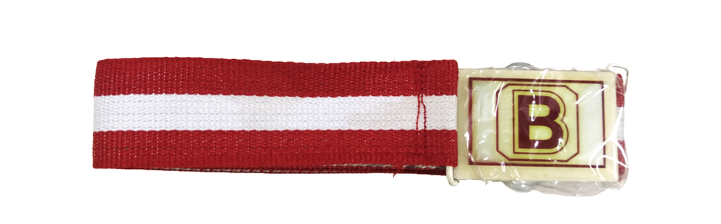 Bidya Bharati Belt