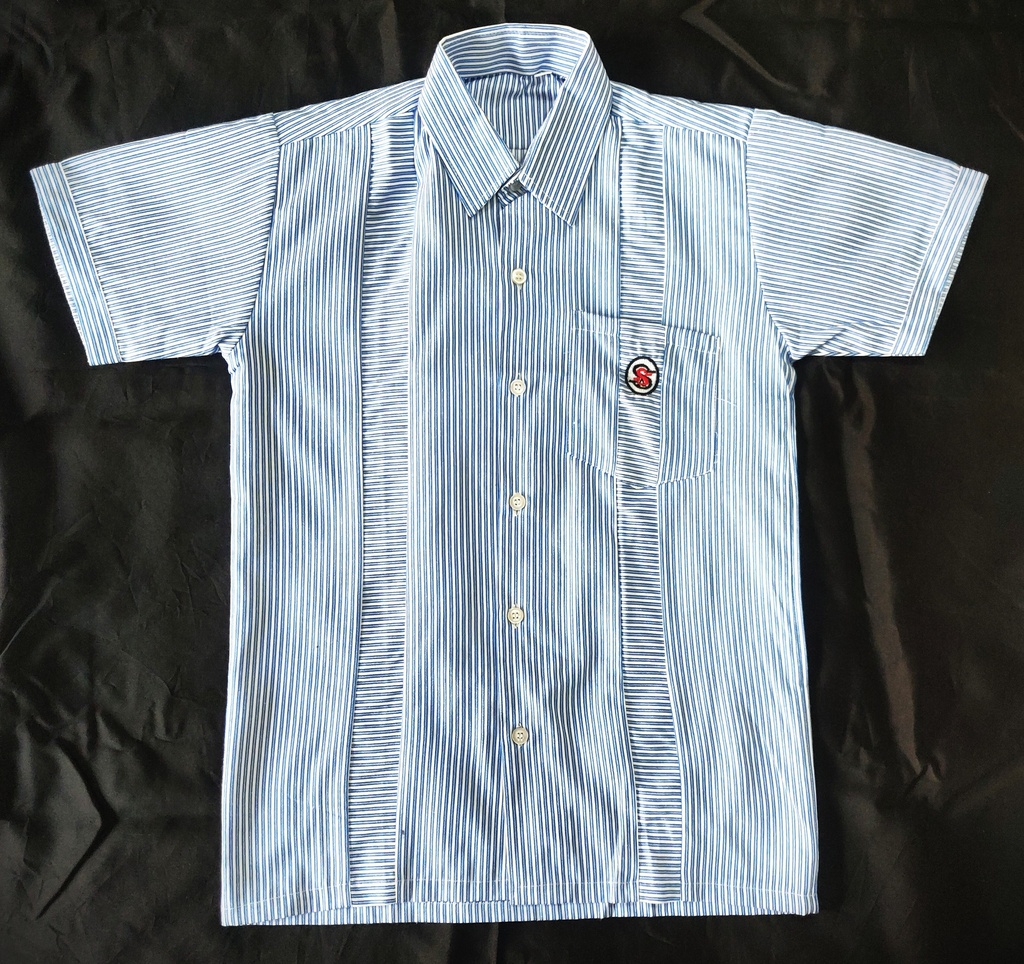 Sri Sri Academy Boys Shirt