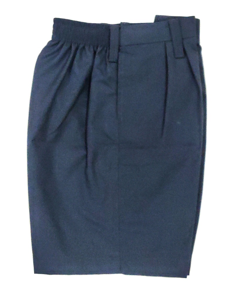 Sri Sri Academy Navy Half Pant