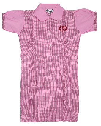 Bidya Bharati Pink Frock  (20)