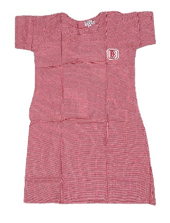 Bidya Bharati New Alipore Salwar Suit