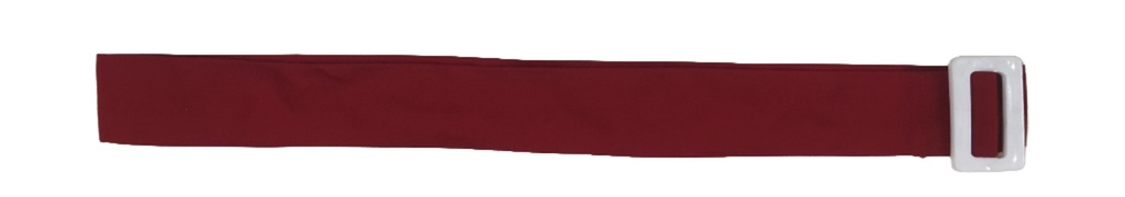 Bidya Bharati New Alipore Belt (32)