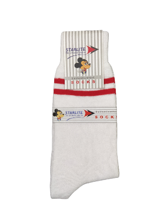 Bidya Bharati Socks (Red Border)